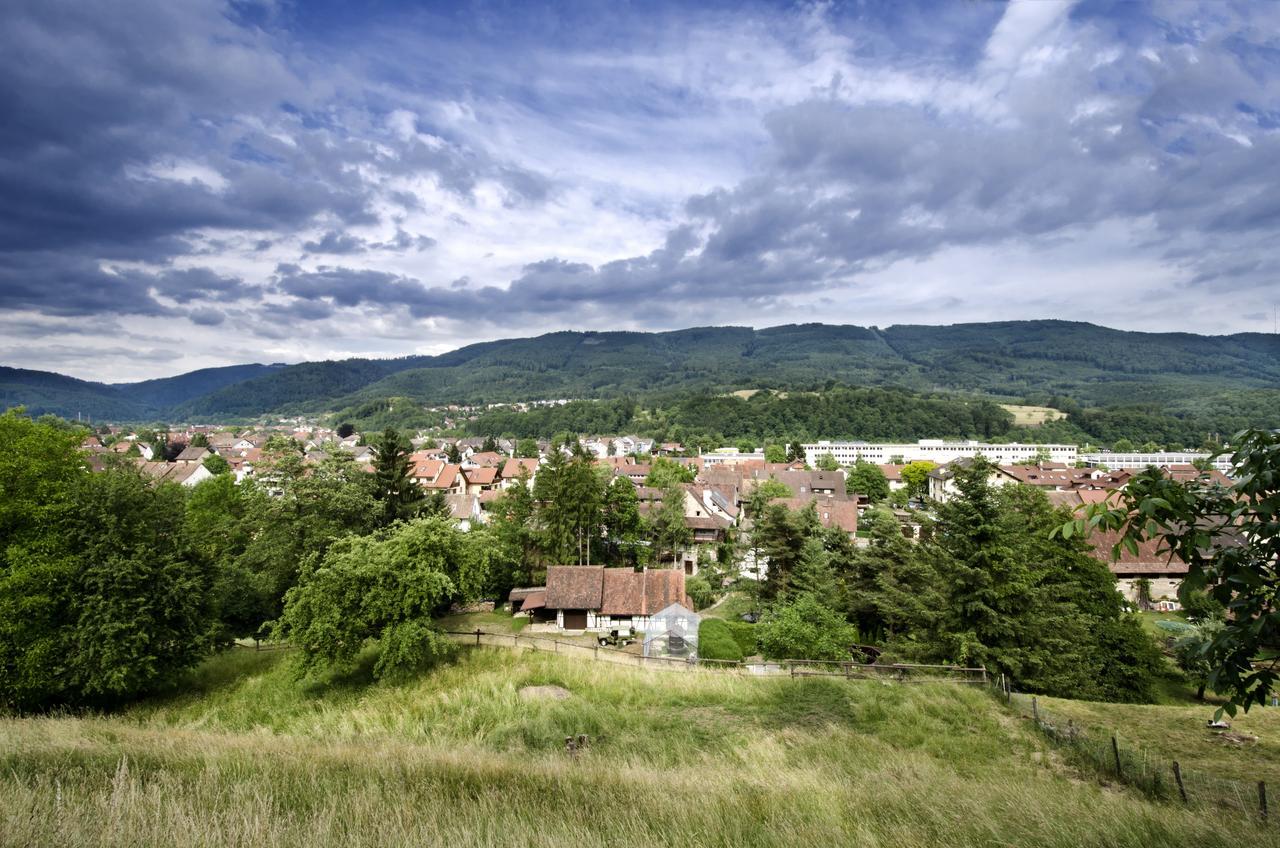 Landgasthof Zur Sonne Wehr  Luaran gambar